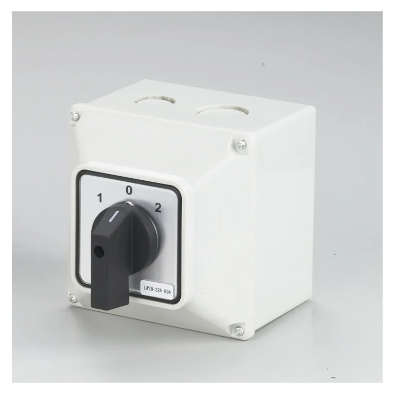 https://www.hanmoswitch.com/universal-rotary-changeover-switch-lw28-with-protective-box-product/